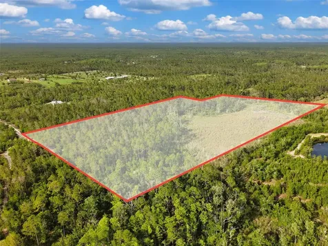 Savanna Lane Steinhatchee FL 32359