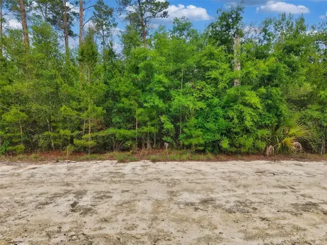 Savanna Lane Steinhatchee FL 32359