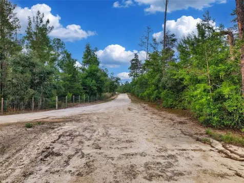 Savanna Lane Steinhatchee FL 32359