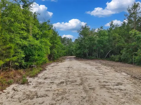 Savanna Lane Steinhatchee FL 32359