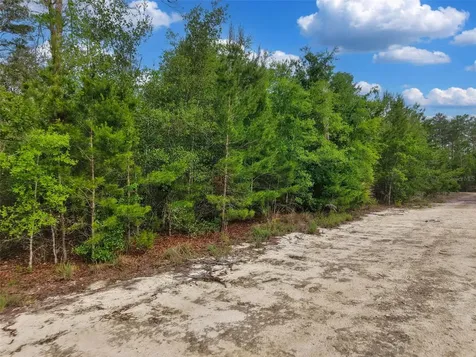 Savanna Lane Steinhatchee FL 32359