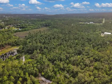Savanna Lane Steinhatchee FL 32359
