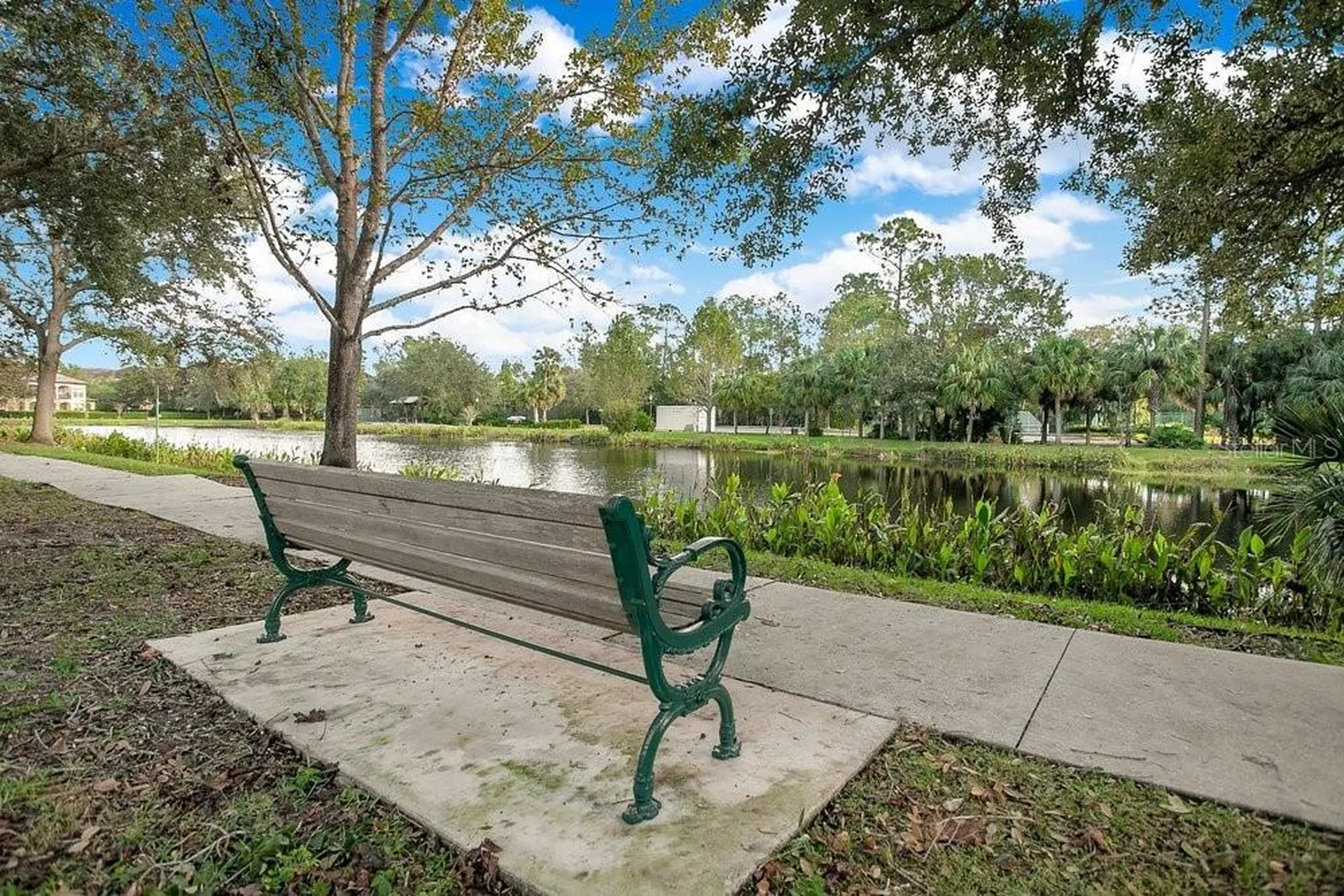1013 Maiden Terrace Celebration FL 34747