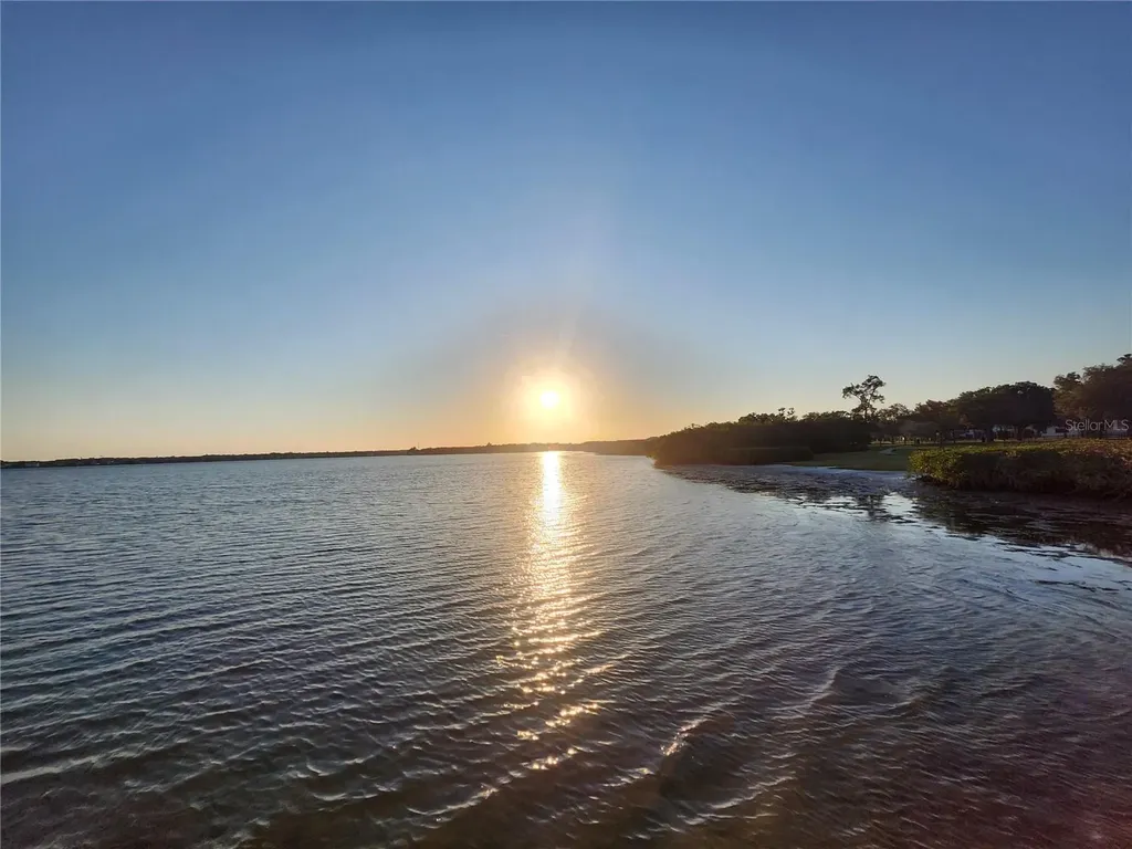 3071 Huron Avenue Oldsmar FL 34677