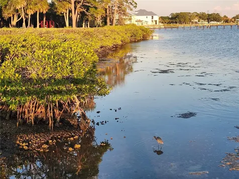 3071 Huron Avenue Oldsmar FL 34677