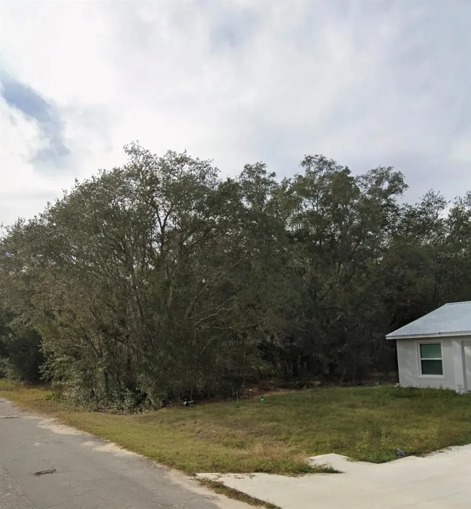 Tbd Fisher Way Course Ocklawaha FL 32179