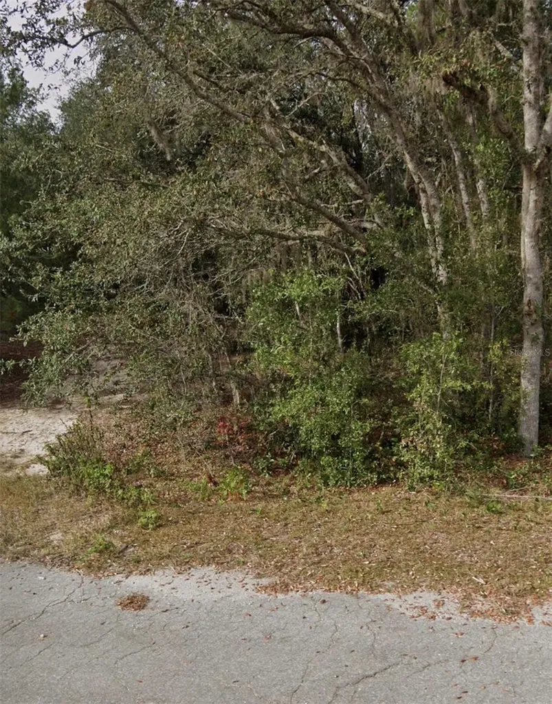 Tbd Fisher Way Course Ocklawaha FL 32179