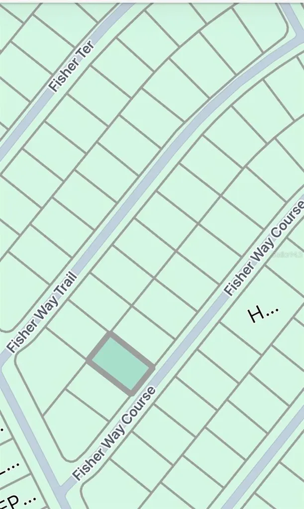 Tbd Fisher Way Course Ocklawaha FL 32179