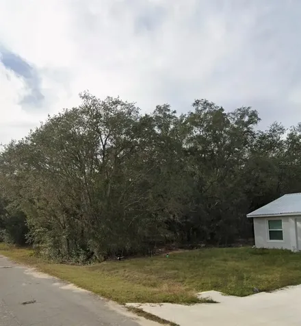 Tbd Fisher Way Course Ocklawaha FL 32179