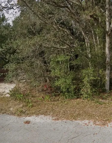 Tbd Fisher Way Course Ocklawaha FL 32179