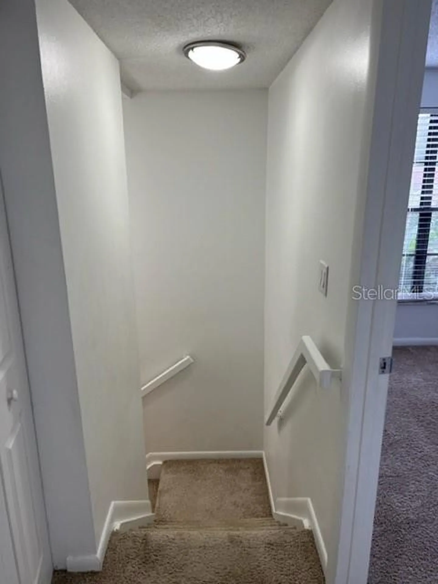 11365 Brookgreen Drive Tampa FL 33624