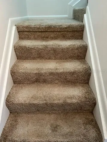 11365 Brookgreen Drive Tampa FL 33624