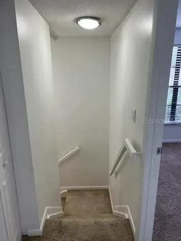 11365 Brookgreen Drive Tampa FL 33624