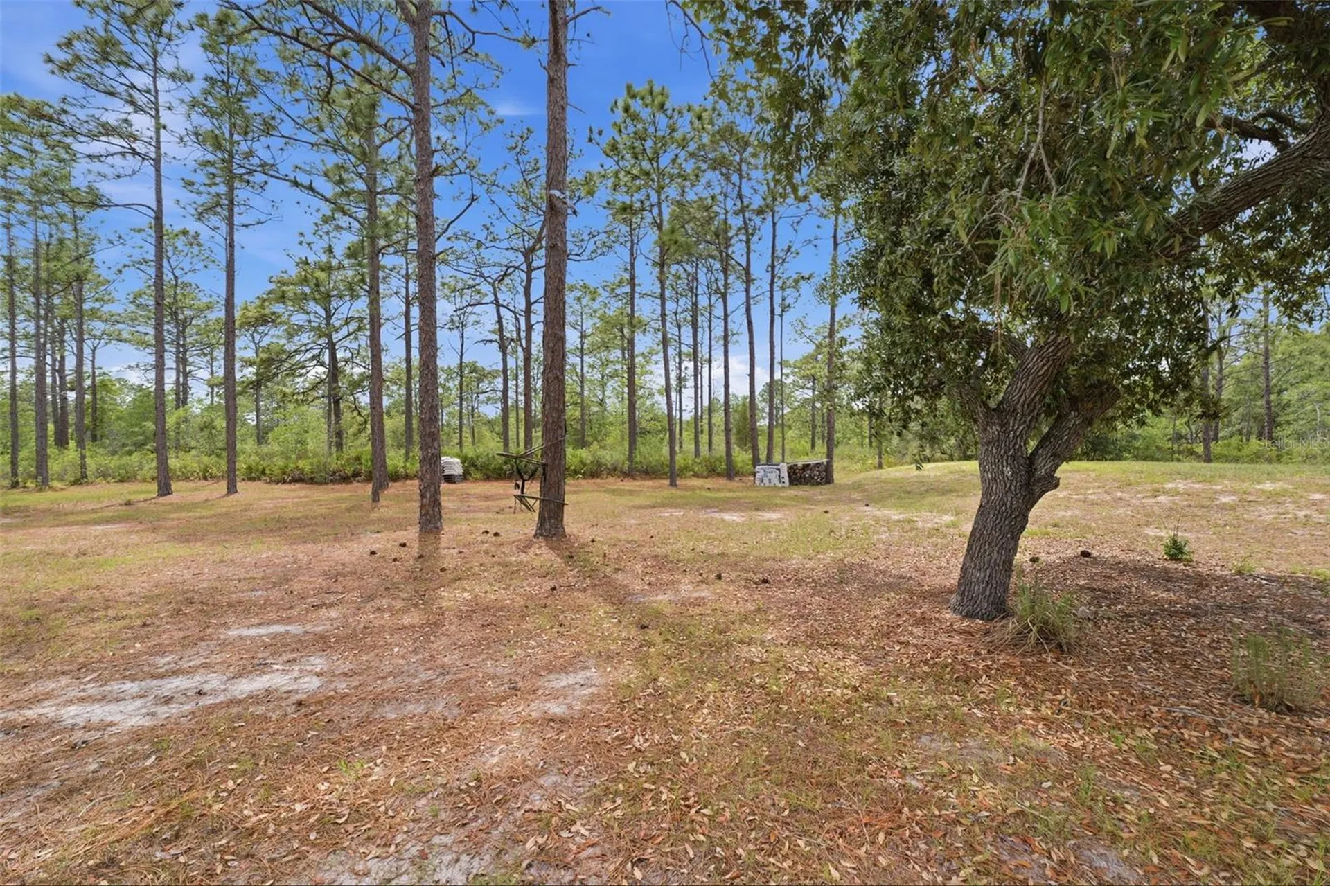 18043 Palmdale Road Weeki Wachee FL 34614
