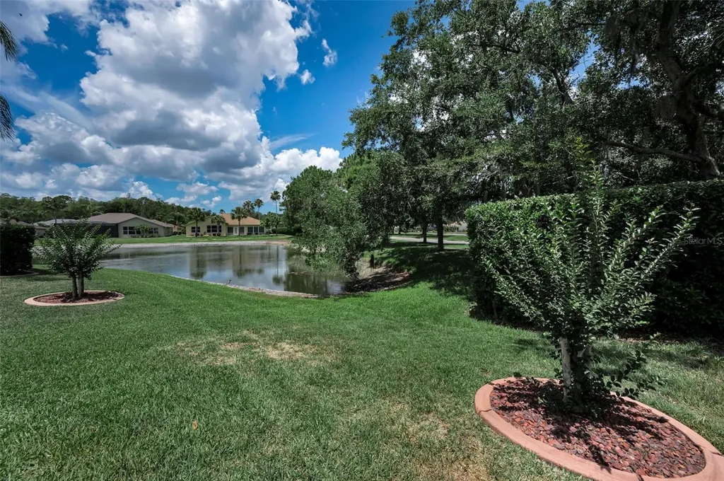 11917 Hadleigh Way Trinity FL 34655