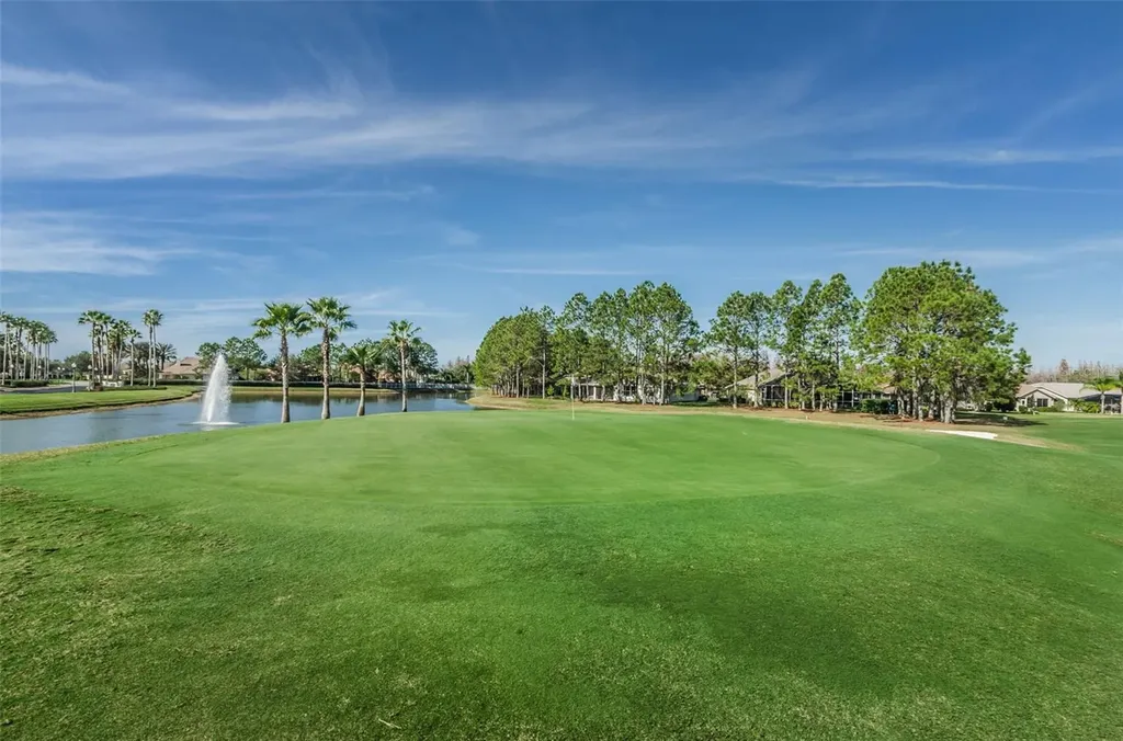 11917 Hadleigh Way Trinity FL 34655