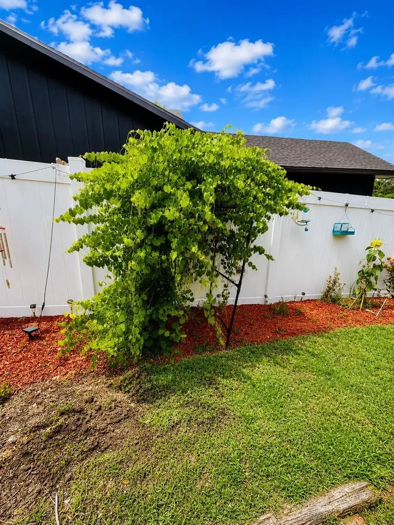 700 W Dampier Street Inverness FL 34450