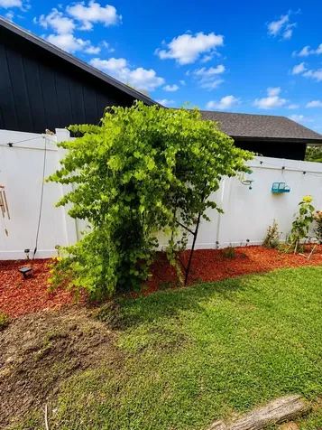 700 W Dampier Street Inverness FL 34450