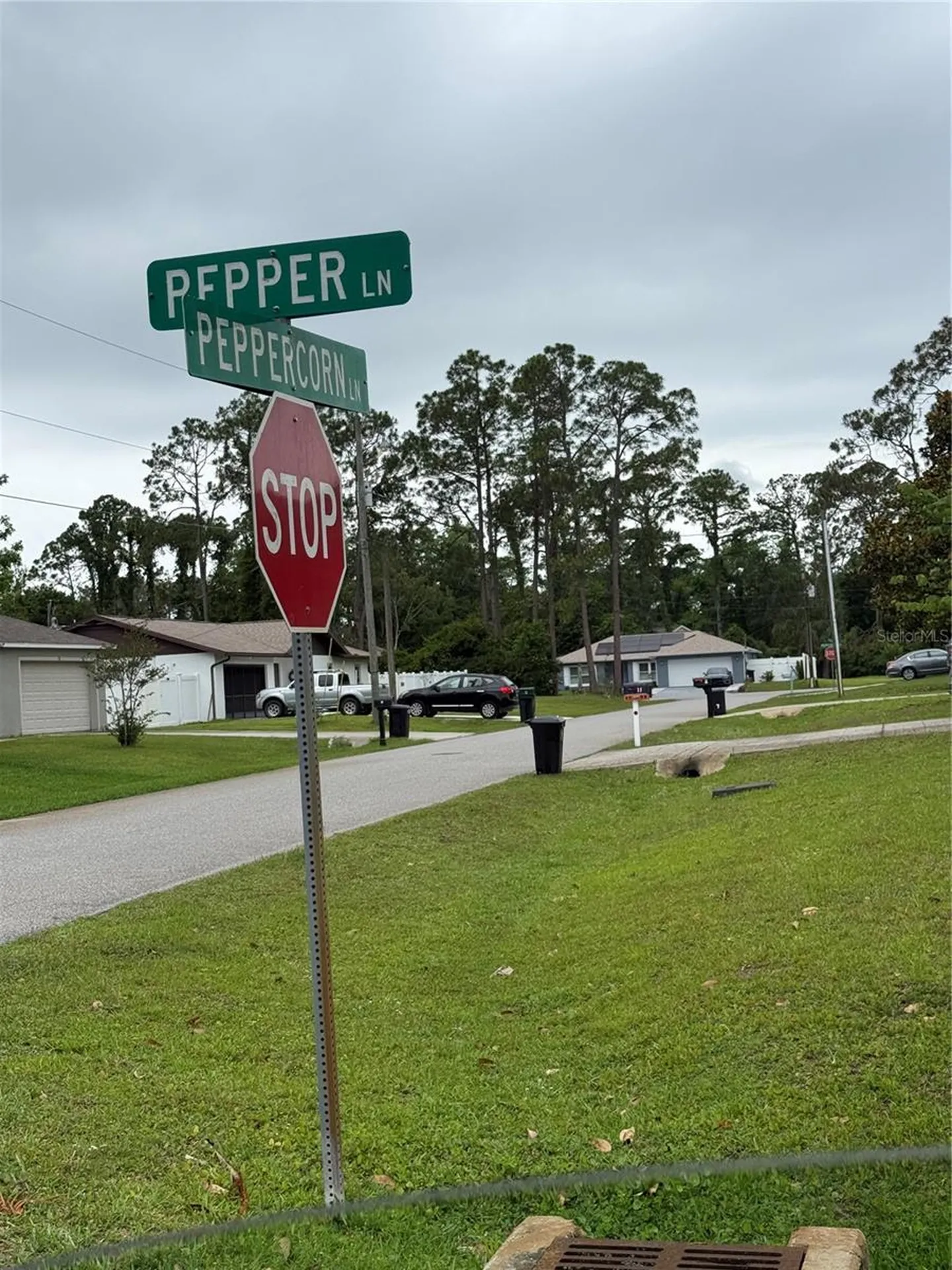 15 Pepper Lane Palm Coast FL 32164