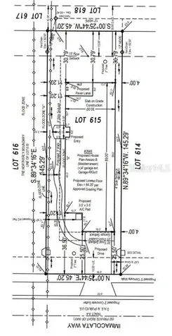 30175 Imperati Boulevard Wesley Chapel FL 33543