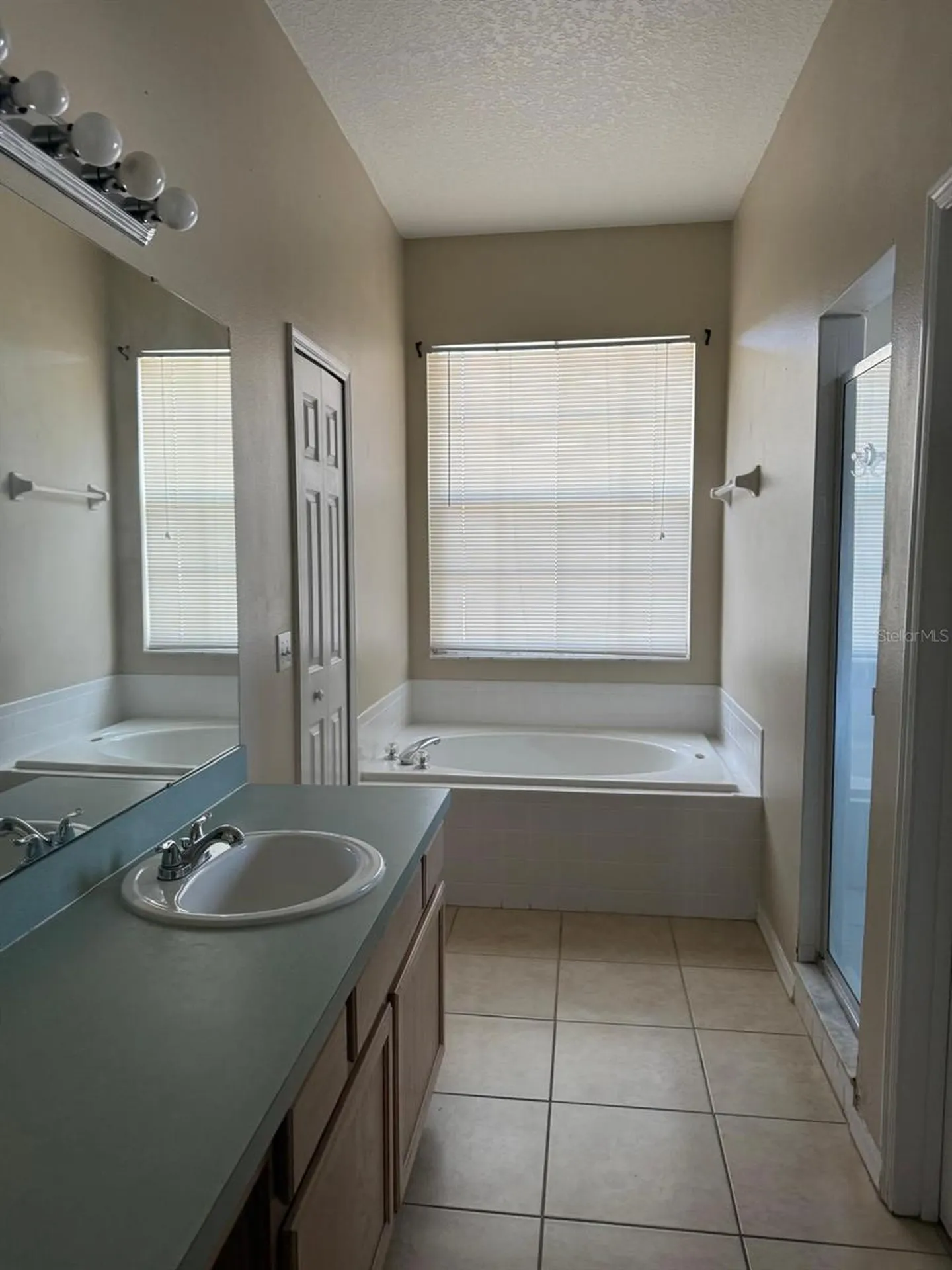 519 Thousand Oaks Boulevard Davenport FL 33896