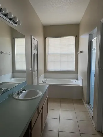 519 Thousand Oaks Boulevard Davenport FL 33896