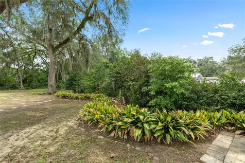 538 NW 7th Street Williston FL 32696