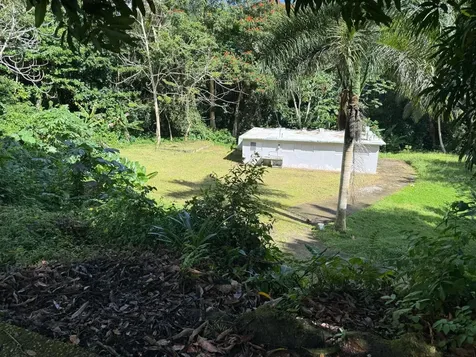 910 Camino Las Flores Humacao PR 00791