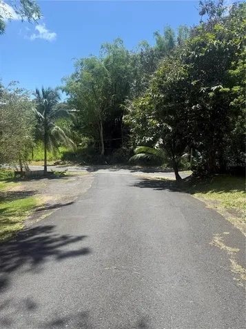 910 Camino Las Flores Humacao PR 00791