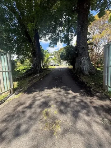 910 Camino Las Flores Humacao PR 00791