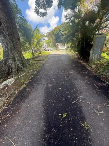 910 Camino Las Flores Humacao PR 00791