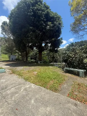 910 Camino Las Flores Humacao PR 00791