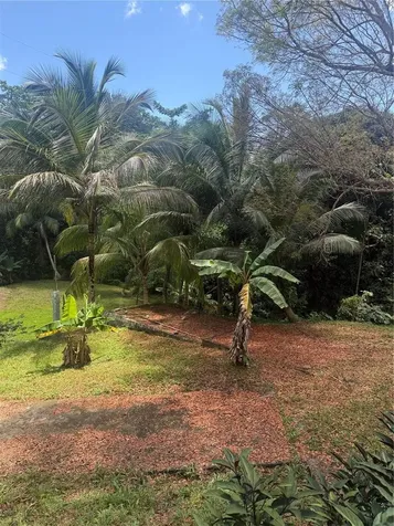 910 Camino Las Flores Humacao PR 00791