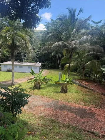 910 Camino Las Flores Humacao PR 00791