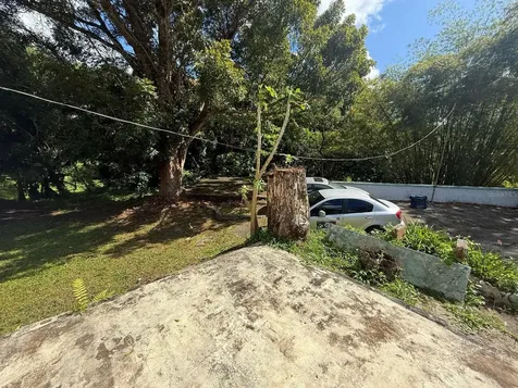 910 Camino Las Flores Humacao PR 00791