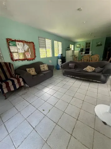 910 Camino Las Flores Humacao PR 00791