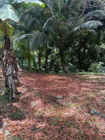 910 Camino Las Flores Humacao PR 00791