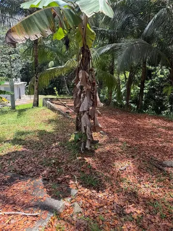 910 Camino Las Flores Humacao PR 00791