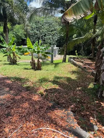 910 Camino Las Flores Humacao PR 00791
