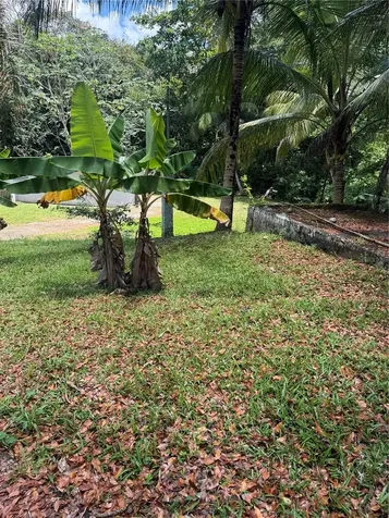 910 Camino Las Flores Humacao PR 00791