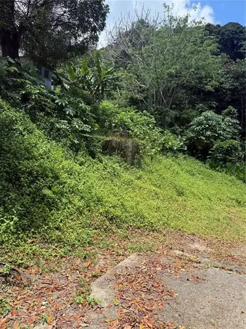 910 Camino Las Flores Humacao PR 00791