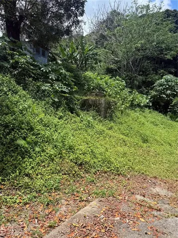 910 Camino Las Flores Humacao PR 00791