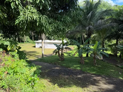 910 Camino Las Flores Humacao PR 00791