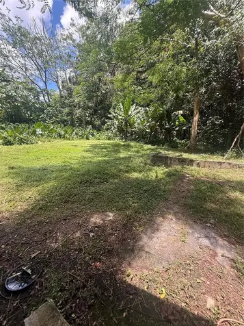 910 Camino Las Flores Humacao PR 00791