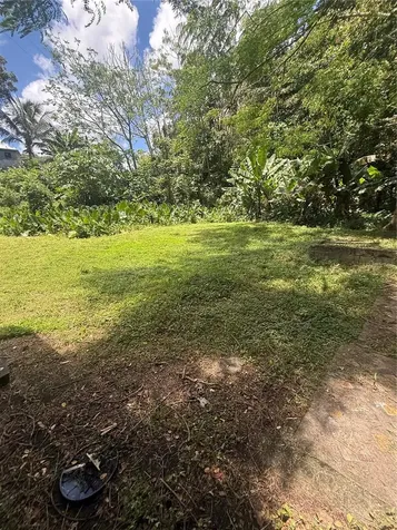 910 Camino Las Flores Humacao PR 00791