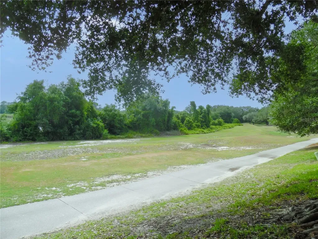 24947 Cranes Roost Circle Leesburg FL 34748