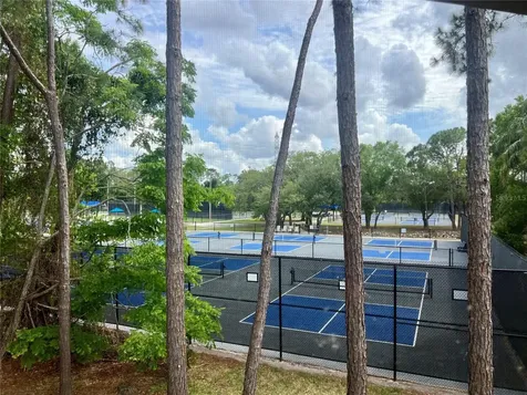 142 Woodlake Wynde Oldsmar FL 34677