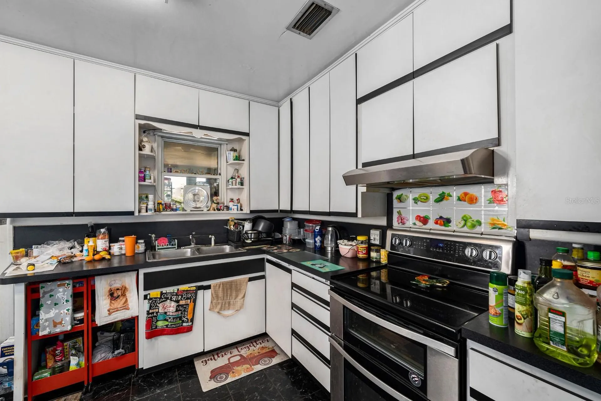 9602 Ripley Road Thonotosassa FL 33592