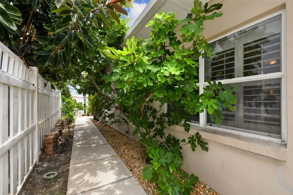 3921 E Eden Roc Circle Tampa FL 33634