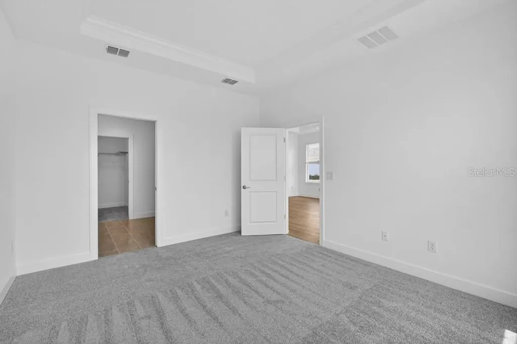 3816 Immacolata Way Wesley Chapel FL 33543